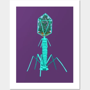 Viral Terrarium Posters and Art